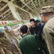 苗木会参展现场