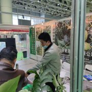 苗木会参展现场