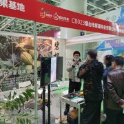 苗木会参展现场