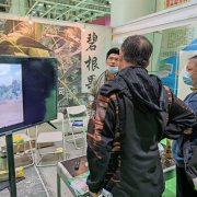苗木会参展现场