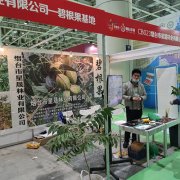 苗木会参展现场