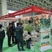 苹果节参展现场